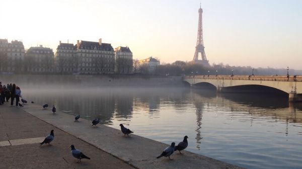 Les avantages de l'infogérance à Paris pour votre sérénité